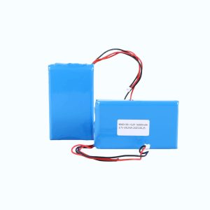 9060100-1S2P/16000mAh